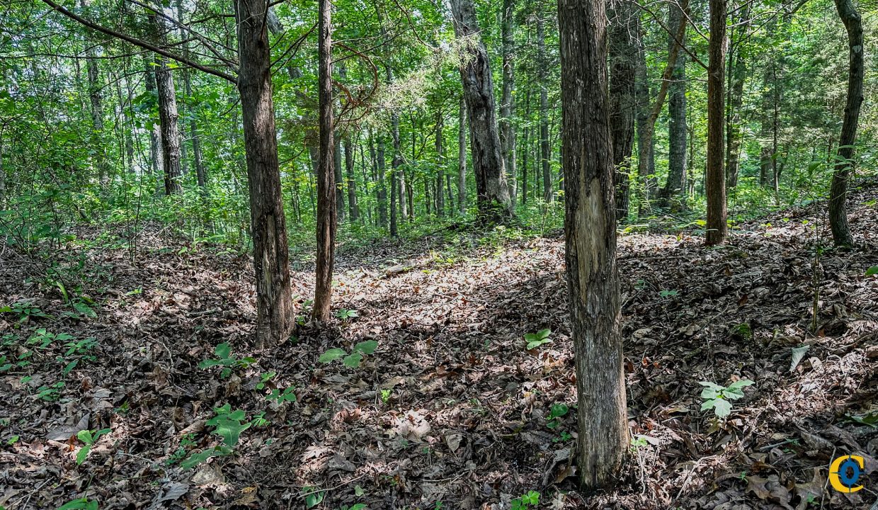 Cathey's Creek Compass South Land Sales-27