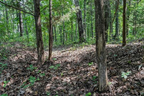 Cathey's Creek Compass South Land Sales-27