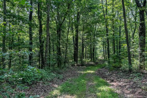 Cathey's Creek Compass South Land Sales-30