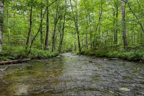 Cathey's Creek Compass South Land Sales-32