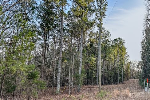 Center Hill Road Tract Compass South Land Sales-055