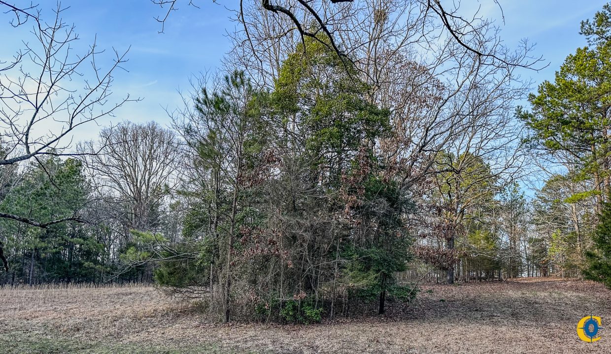 Center Hill Road Tract Compass South Land Sales-059