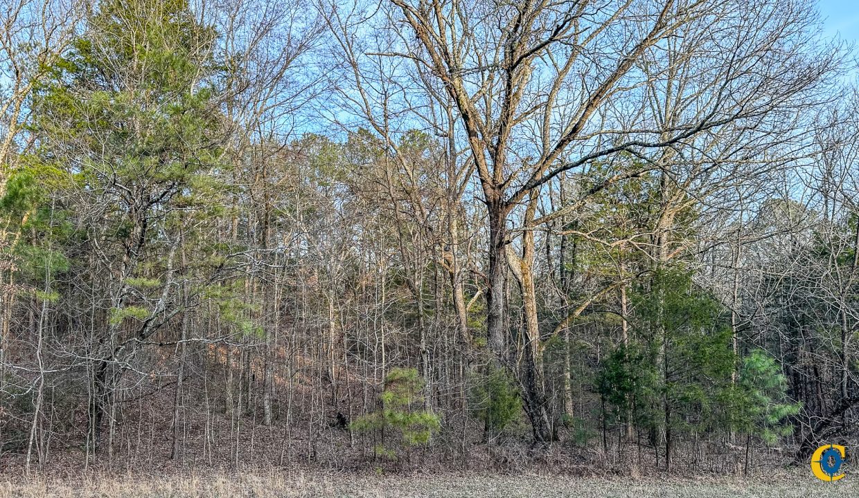 Center Hill Road Tract Compass South Land Sales-063