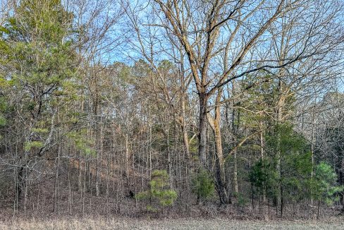 Center Hill Road Tract Compass South Land Sales-063