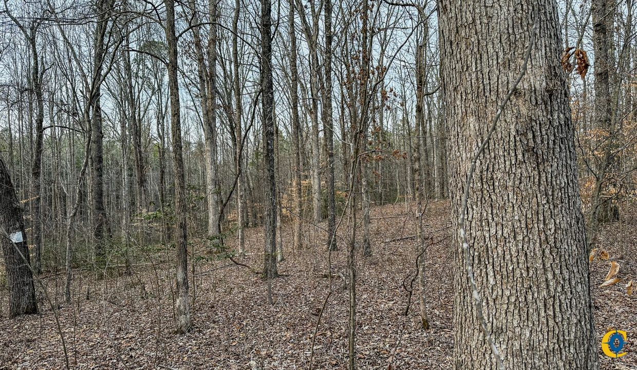 Center Hill Road Tract Compass South Land Sales-067