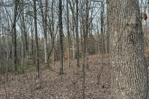 Center Hill Road Tract Compass South Land Sales-067