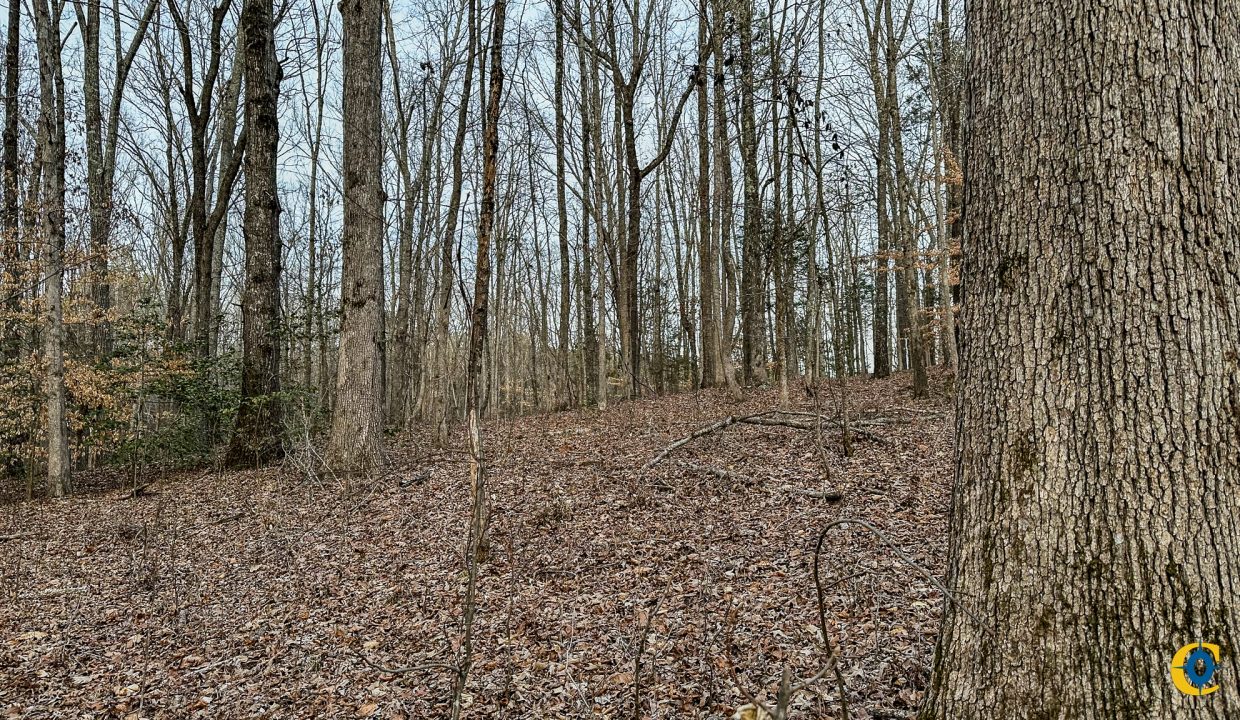 Center Hill Road Tract Compass South Land Sales-069