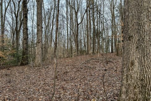 Center Hill Road Tract Compass South Land Sales-069