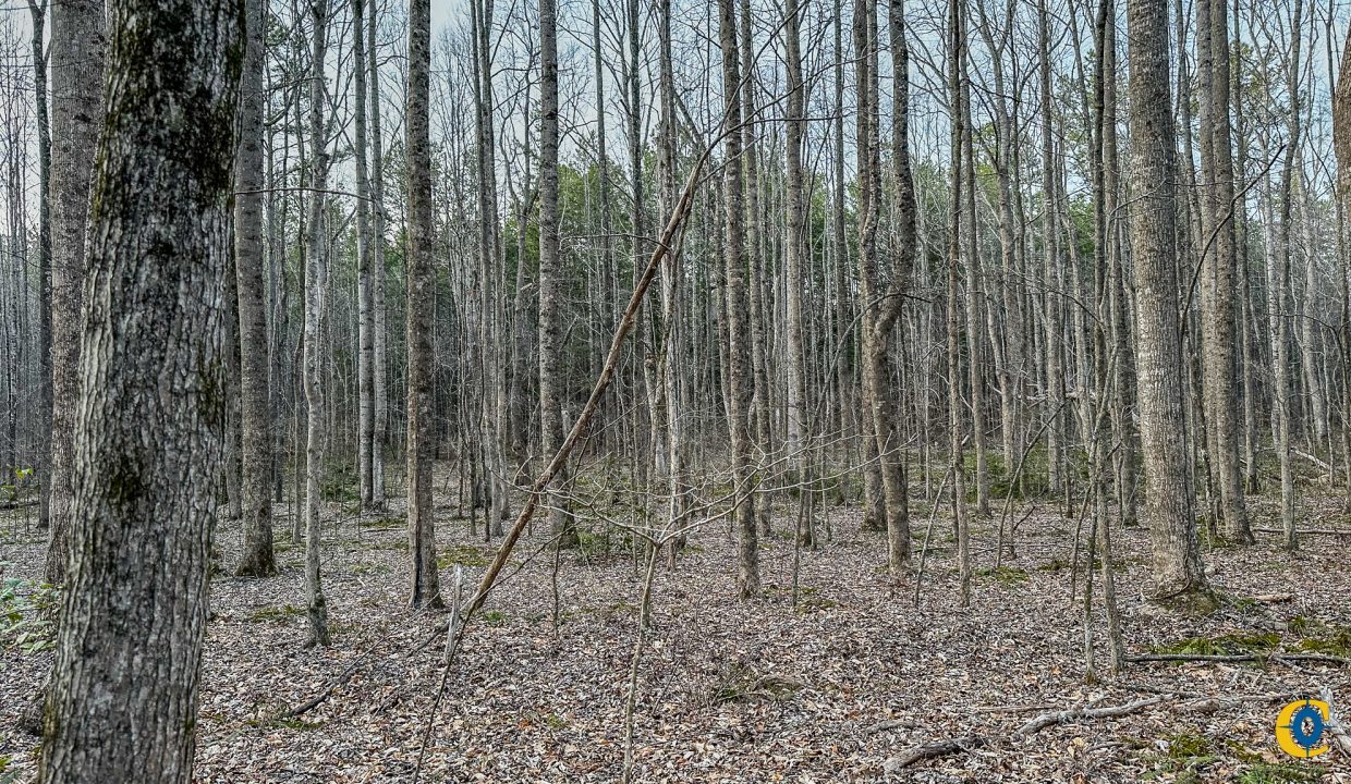Center Hill Road Tract Compass South Land Sales-071