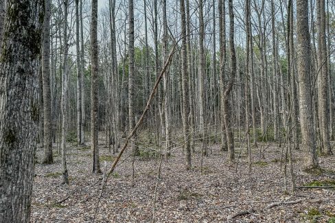Center Hill Road Tract Compass South Land Sales-071