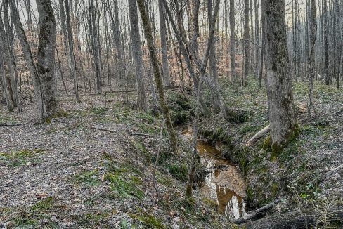 Center Hill Road Tract Compass South Land Sales-074