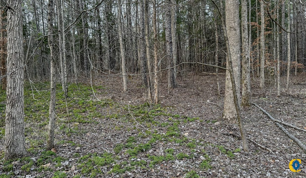 Center Hill Road Tract Compass South Land Sales-075