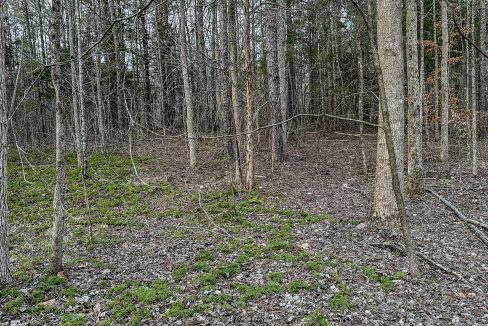 Center Hill Road Tract Compass South Land Sales-075