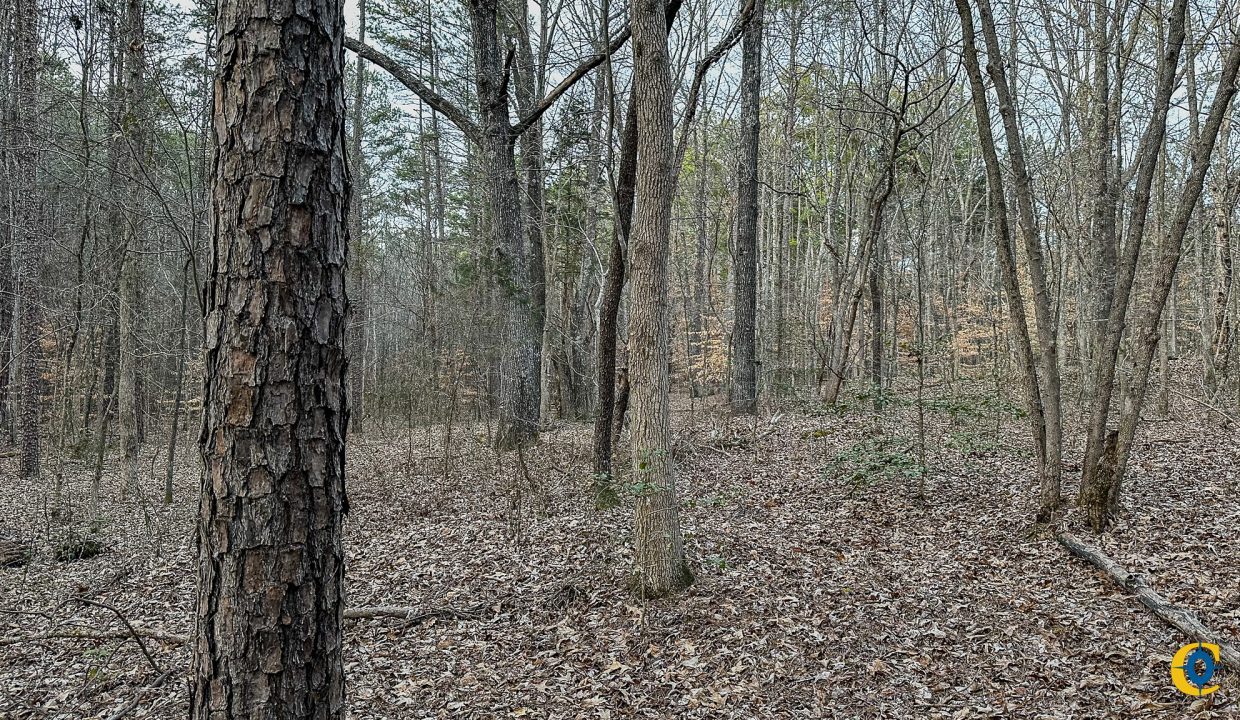 Center Hill Road Tract Compass South Land Sales-076