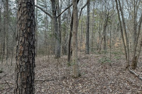 Center Hill Road Tract Compass South Land Sales-076