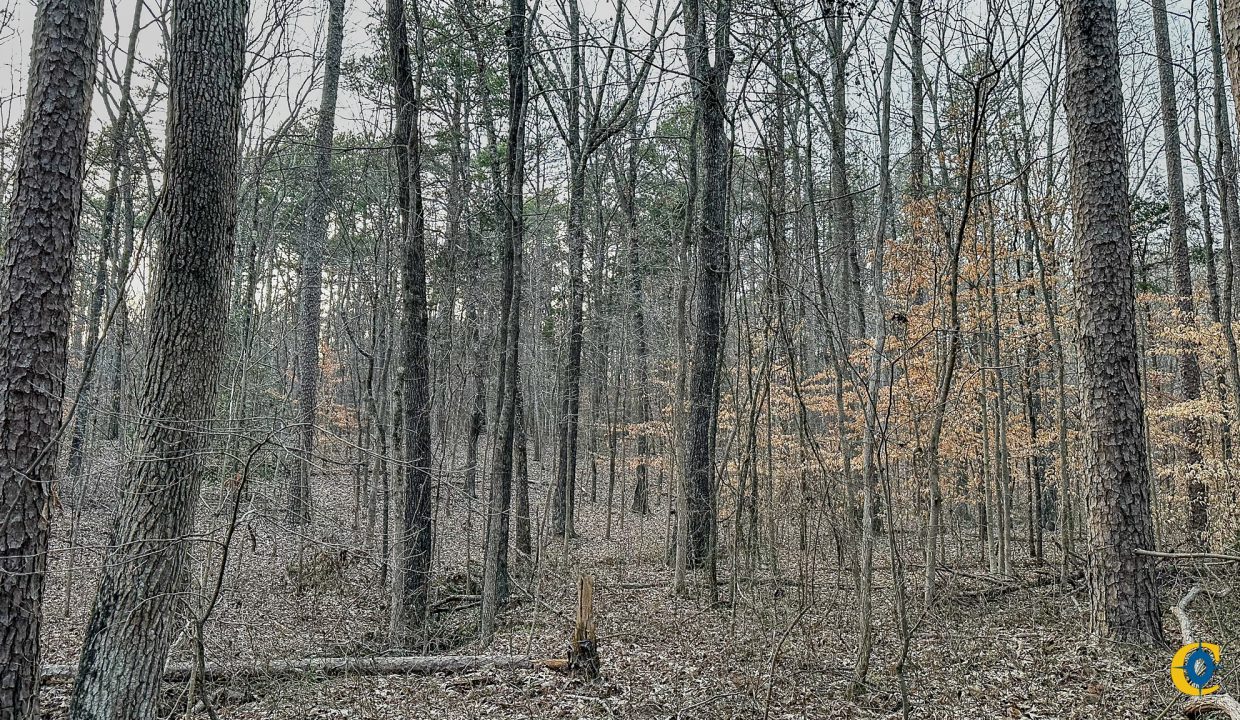 Center Hill Road Tract Compass South Land Sales-078