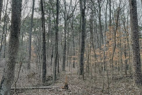 Center Hill Road Tract Compass South Land Sales-078