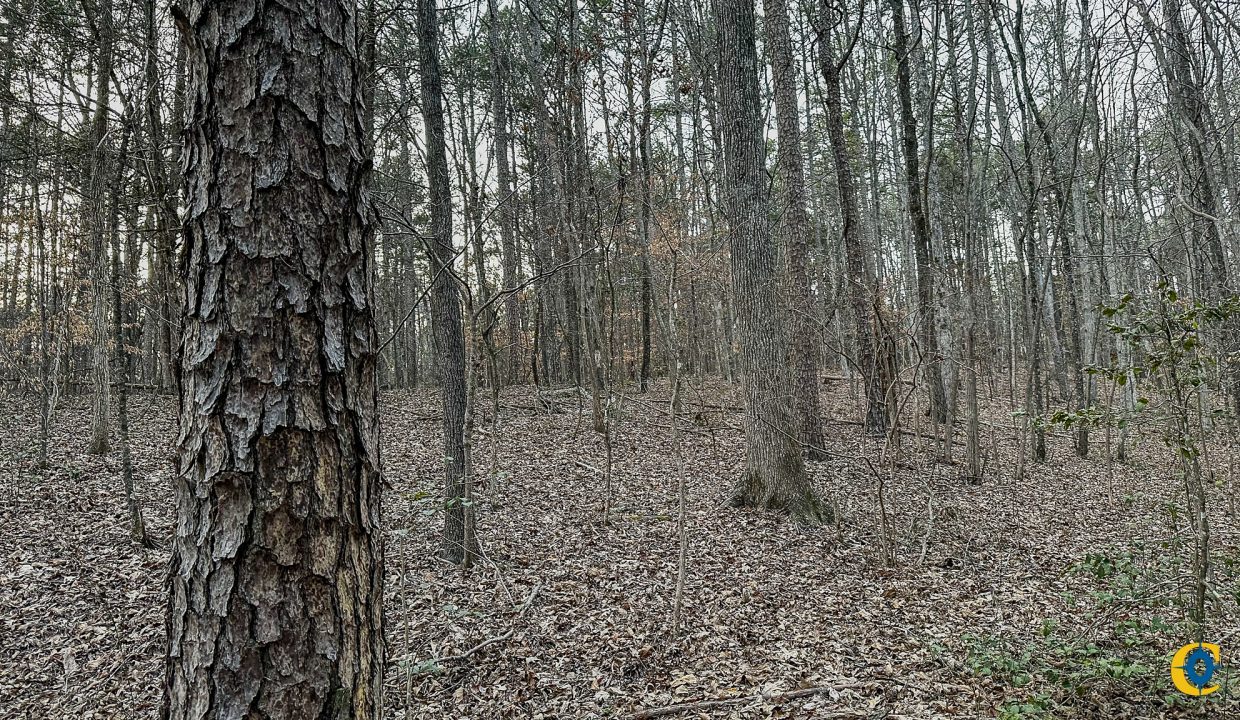 Center Hill Road Tract Compass South Land Sales-080