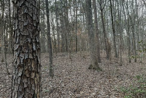 Center Hill Road Tract Compass South Land Sales-080