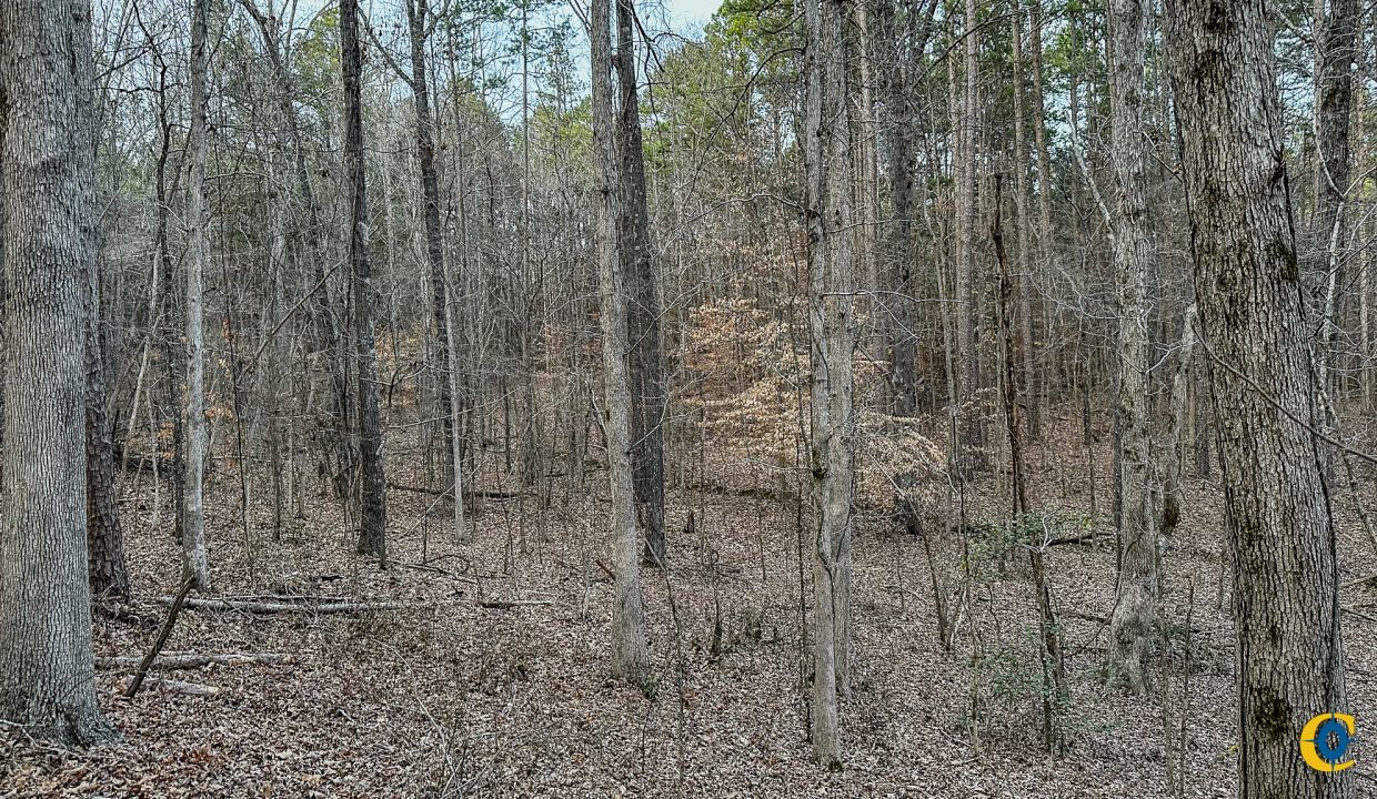 Center Hill Road Tract Compass South Land Sales-082