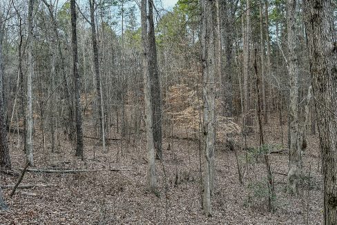 Center Hill Road Tract Compass South Land Sales-082