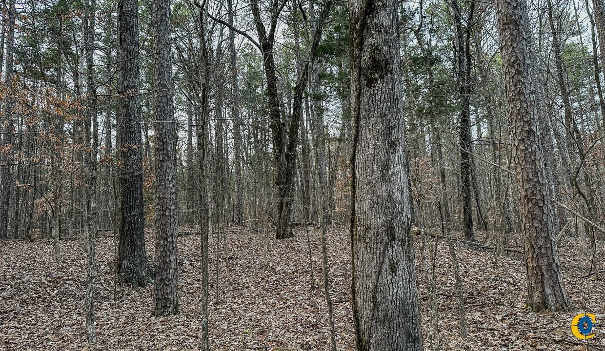 Center Hill Road Tract Compass South Land Sales-084