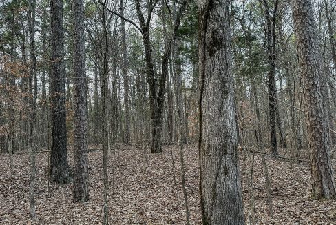 Center Hill Road Tract Compass South Land Sales-084