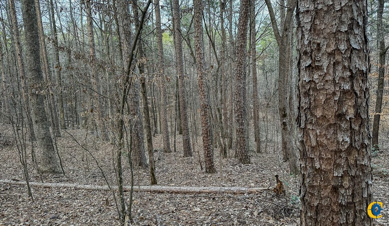 Center Hill Road Tract Compass South Land Sales-086