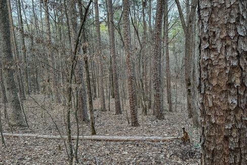 Center Hill Road Tract Compass South Land Sales-086