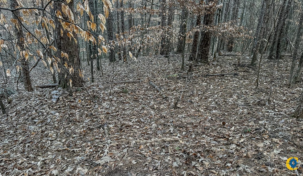 Center Hill Road Tract Compass South Land Sales-088