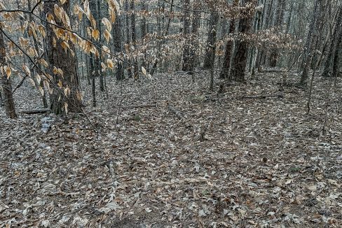 Center Hill Road Tract Compass South Land Sales-088