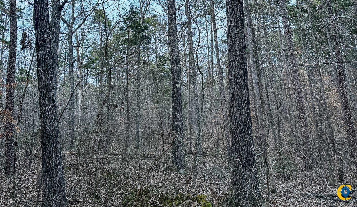 Center Hill Road Tract Compass South Land Sales-089