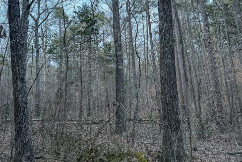 Center Hill Road Tract Compass South Land Sales-089