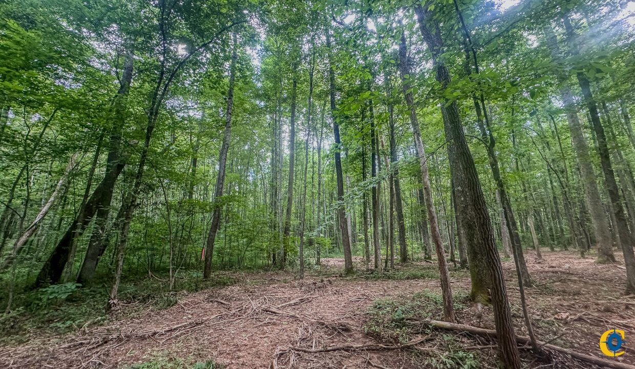 Creek Ridge Compass South Land Sales-59
