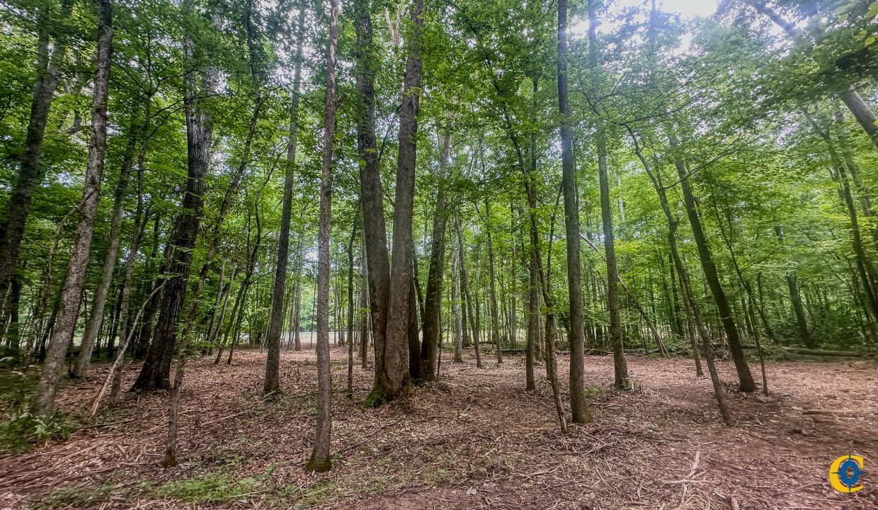 Creek Ridge Compass South Land Sales-67