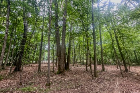Creek Ridge Compass South Land Sales-67