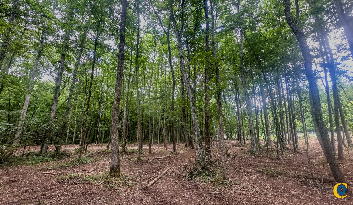 Creek Ridge Compass South Land Sales-70