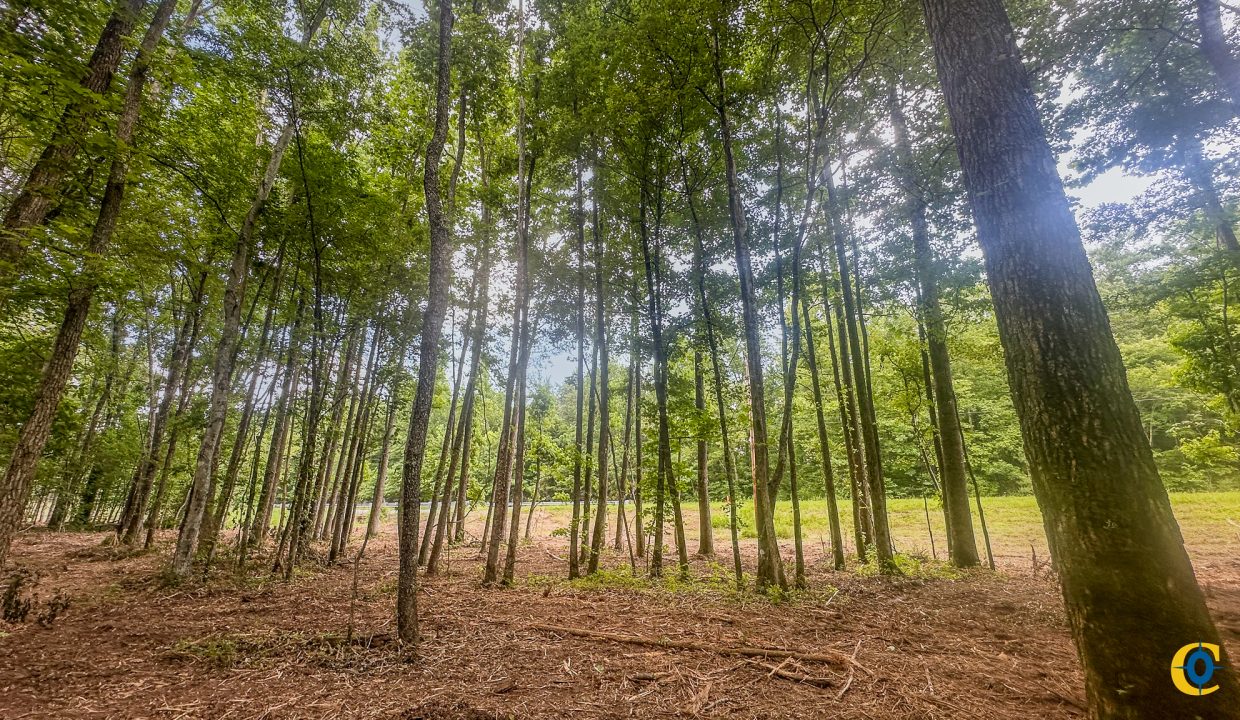 Creek Ridge Compass South Land Sales-71