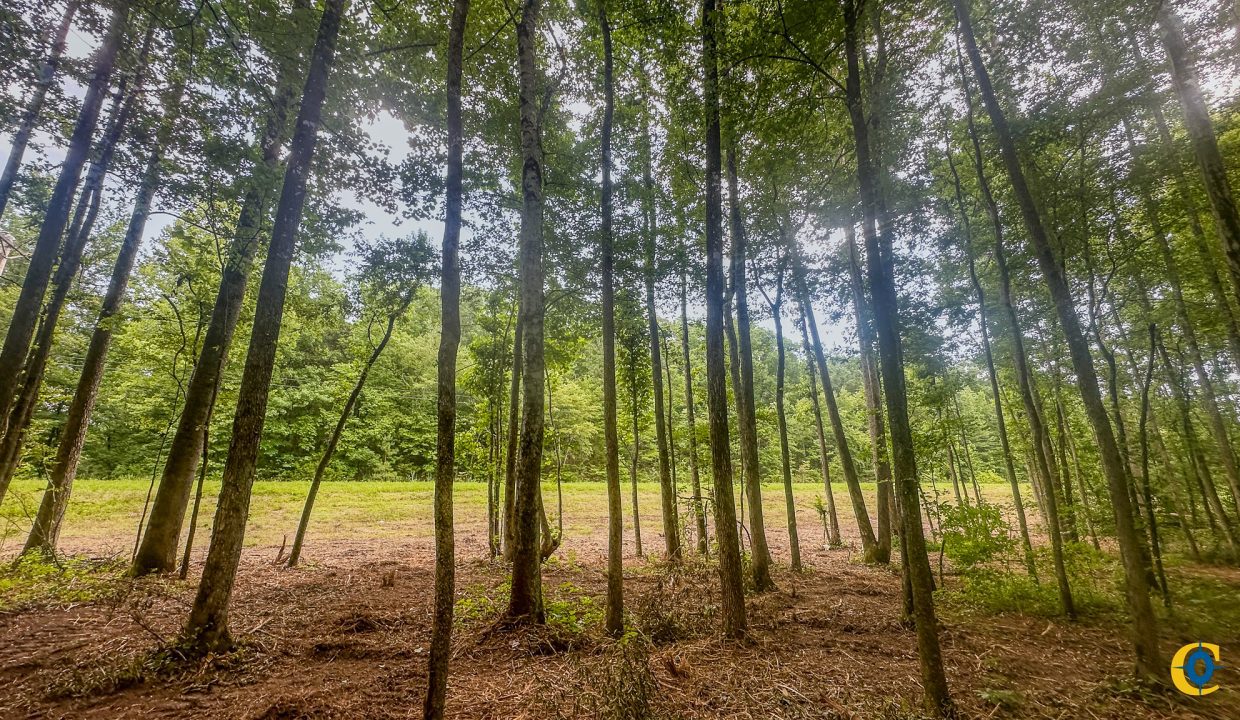 Creek Ridge Compass South Land Sales-72
