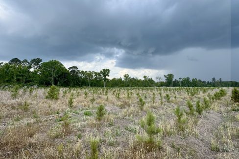 IMG_1794