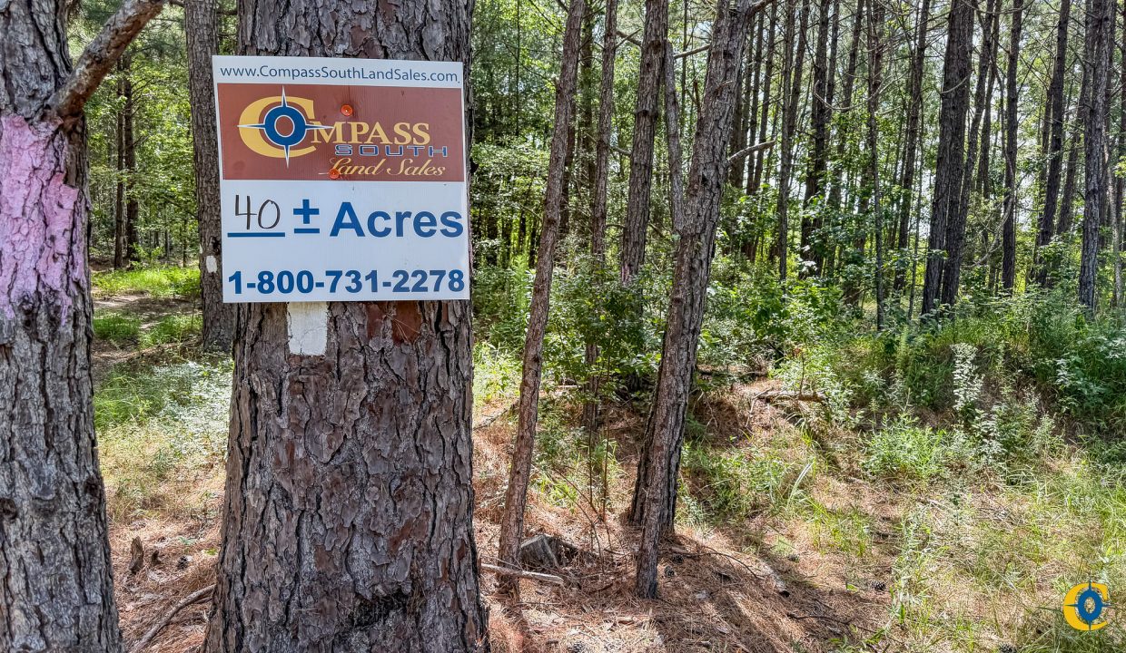 Moro Big Pine Compass South Land Sales-2