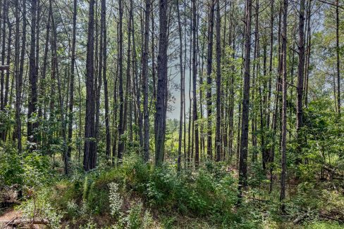 Moro Big Pine Compass South Land Sales-3