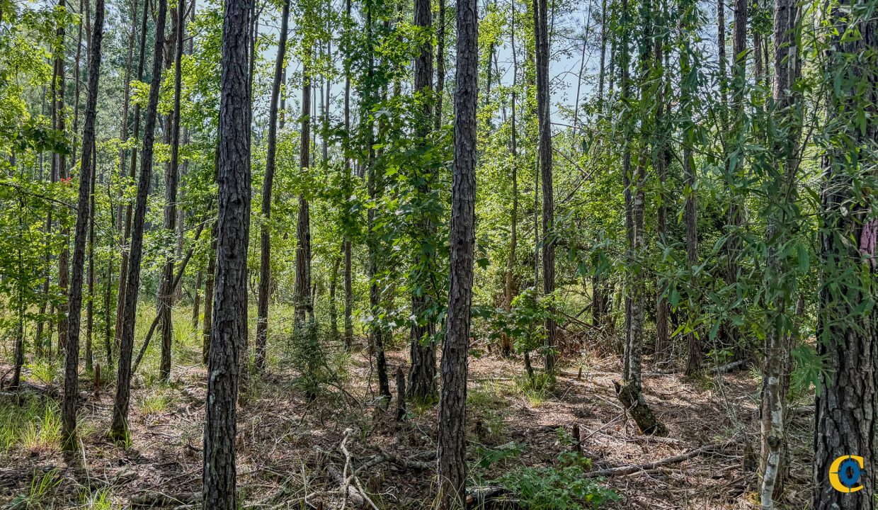 Moro Big Pine Compass South Land Sales-5