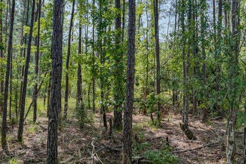 Moro Big Pine Compass South Land Sales-5