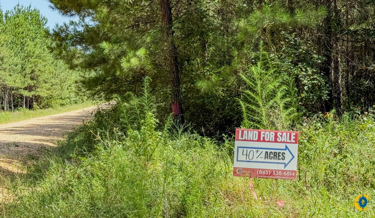 Moro Big Pine Compass South Land Sales-6