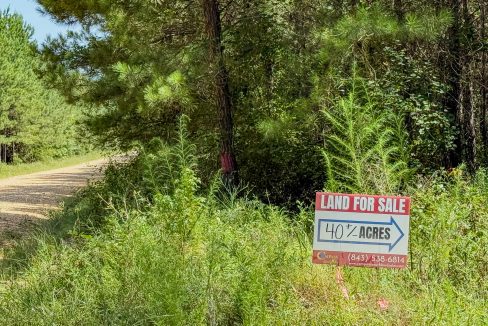 Moro Big Pine Compass South Land Sales-6