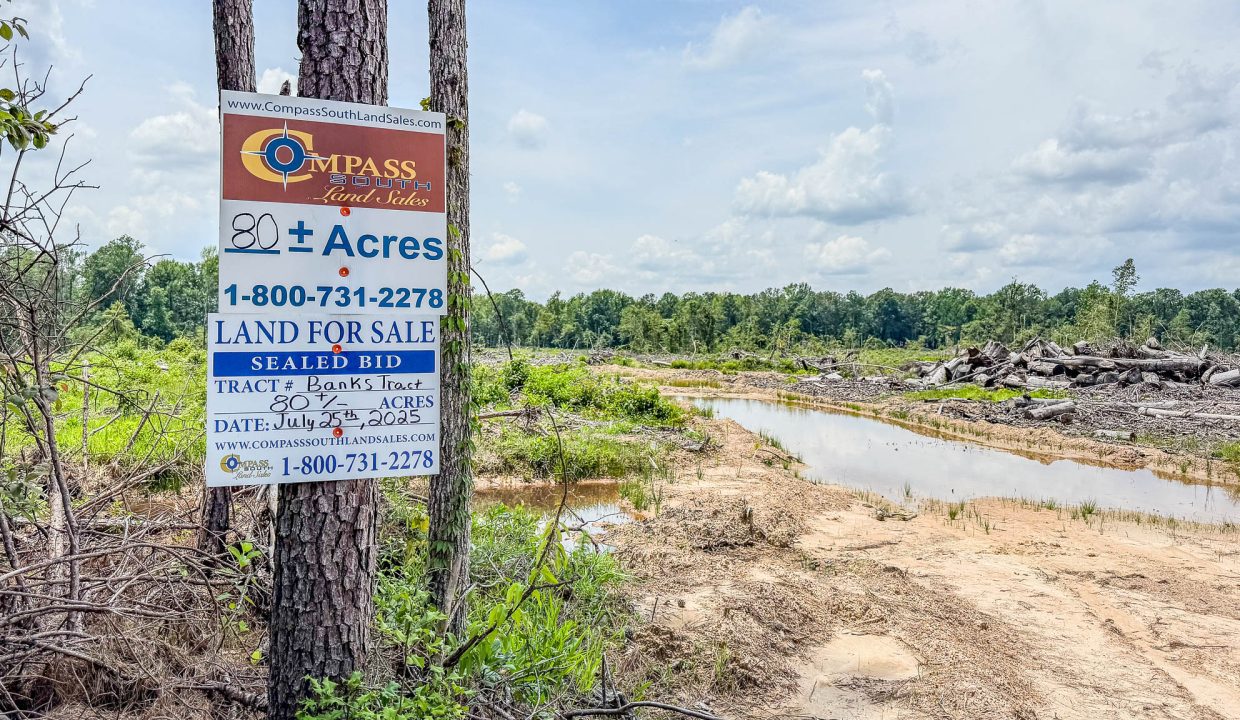 Compass South Bid Sale Banks Tract-01