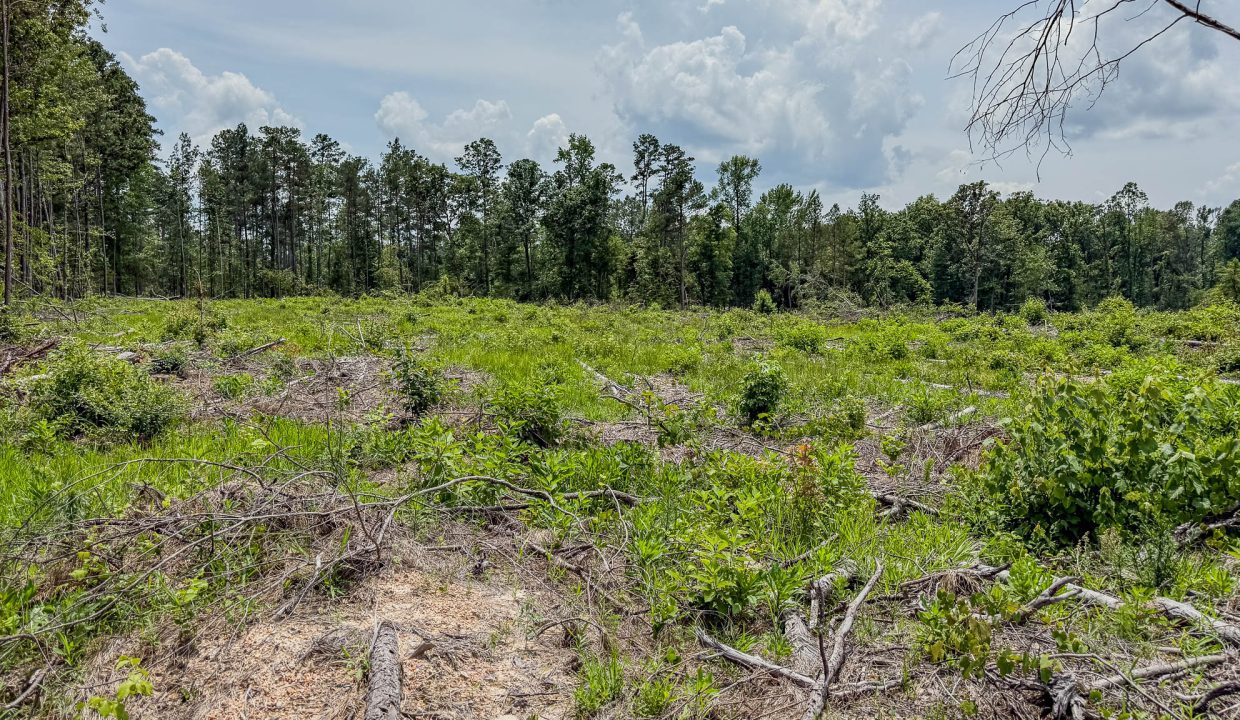 Compass South Bid Sale Banks Tract-03