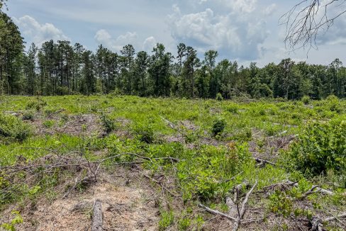 Compass South Bid Sale Banks Tract-03