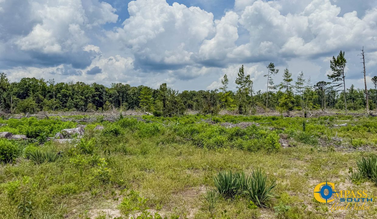 Compass South Bid Sale Jersey Tract-2
